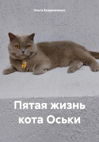 Ольга Безденежных. Пятая жизнь кота Оськи