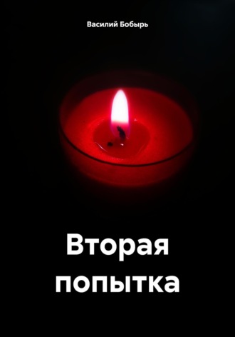 Василий Бобырь. Вторая попытка