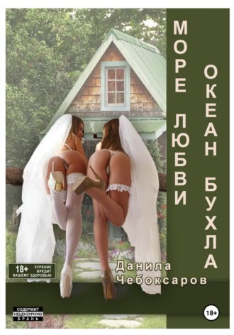 Данила Чебоксаров. Море любви, океан бухла