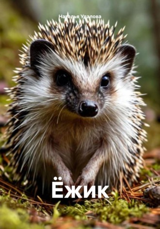 Наталья Удалова. Ёжик