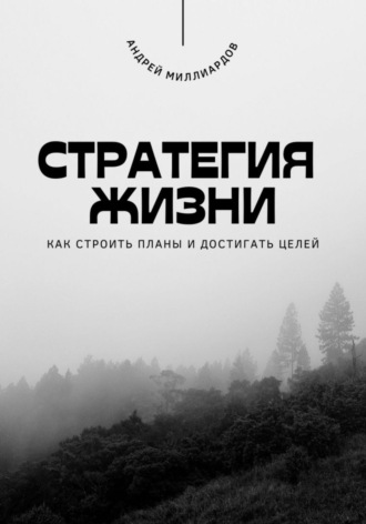 Андрей Миллиардов. Стратегия жизни. Как строить планы и достигать целей