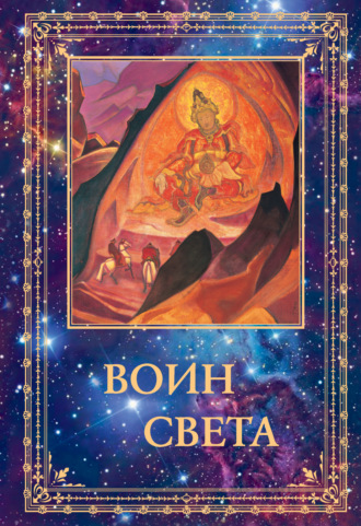 . Воин Света. Том 2