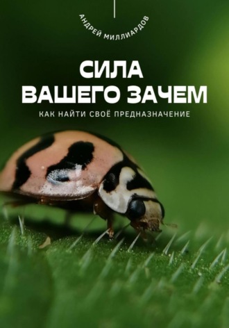 Андрей Миллиардов. Сила вашего Зачем. Как найти своё предназначение