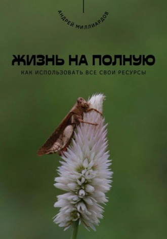Андрей Миллиардов. Жизнь на полную. Как использовать все свои ресурсы