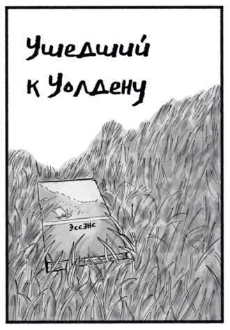 . Ушедший к Уолдену
