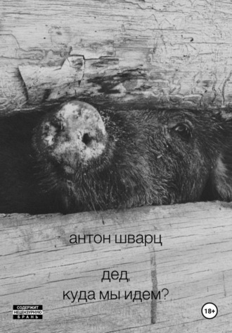 . Дед, куда мы идем?