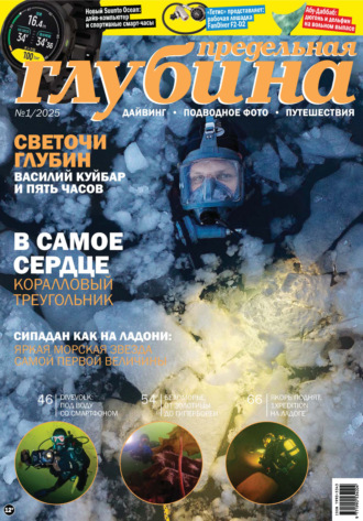. Предельная Глубина №1/2025