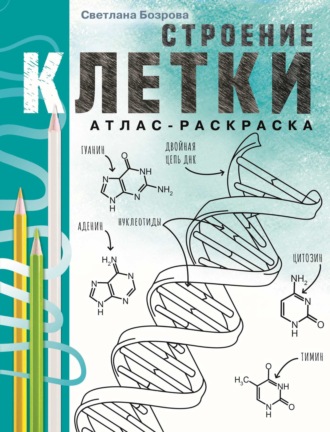 . Строение клетки. Атлас-раскраска
