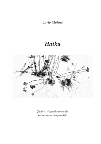 . Haiku