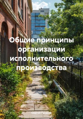 Сергей Юрьевич Гусаков. Общие принципы организации исполнительного производства