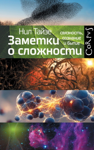 . Заметки о сложности. Связность, сознание и бытие