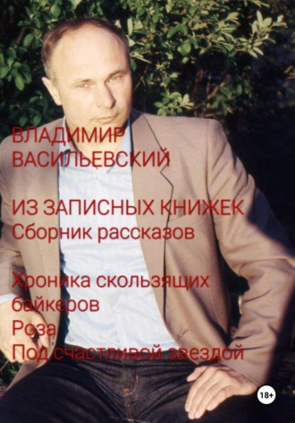 Владимир Васильевский. Из записных книжек. Сборник рассказов. Хроника скользящих байкеров. Роза. Под счастливой звездой
