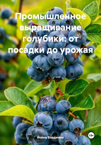. Промышленное выращивание голубики: от посадки до урожая