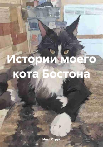 Илья Струк. Истории моего кота Бостона