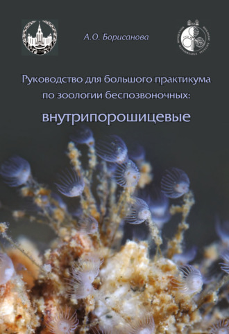 А. О. Борисанова. Руководство для большого практикума по зоологии беспозвоночных. Внутрипорошицевые