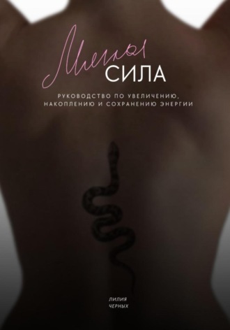 Лилия Владимировна Черных. Мягкая сила. Руководство по увеличению, накоплению и сохранению энергии