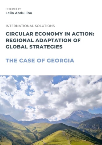 Leila Abdullina. Circular economy in action: Regional adaptation of global strategies. The case of Georgia