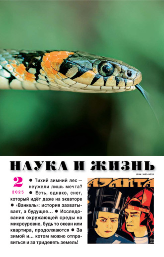 . Наука и жизнь №02/2025