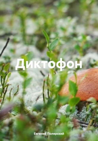 Евгений Полярский. Диктофон