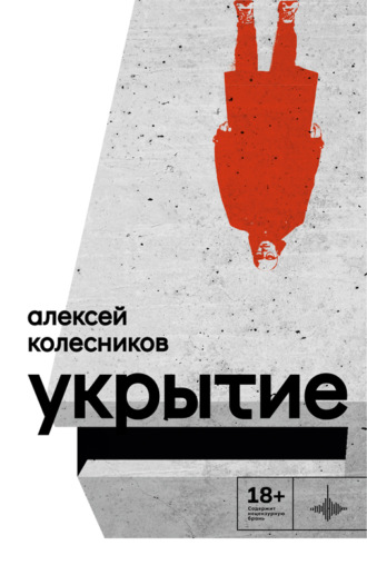 Алексей Колесников. Укрытие
