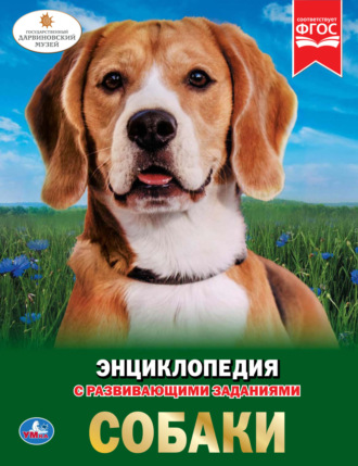 Наталья Седова. Собаки
