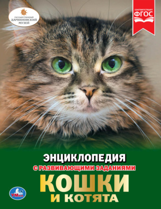 Наталья Седова. Кошки и котята