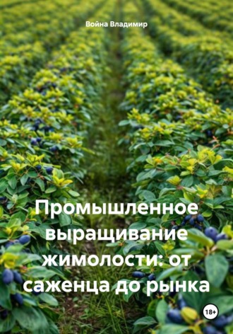 . Промышленное выращивание жимолости: от саженца до рынка