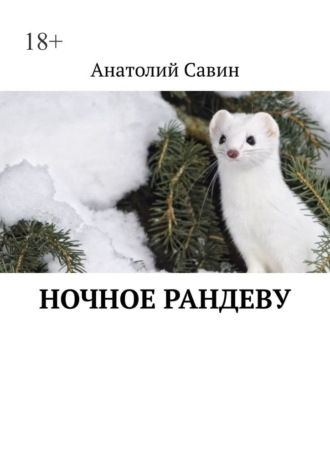 Анатолий Савин. Ночное рандеву