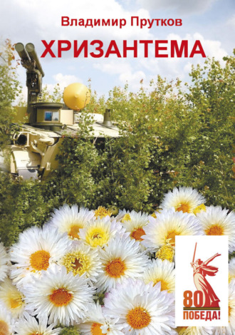Владимир Прутков. Хризантема