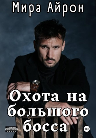 Мира Айрон. Охота на большого босса
