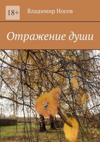 Владимир Носов. Отражение души