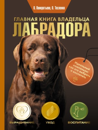 Ольга Панкратьева. Главная книга владельца лабрадора