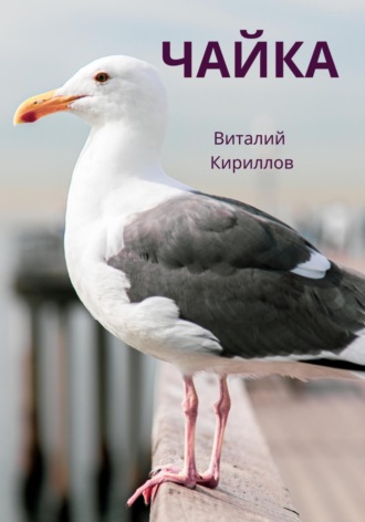 Виталий Александрович Кириллов. Чайка