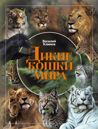 Василий Климов. Дикие кошки мира