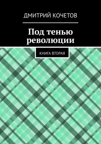 Дмитрий Кочетов. Под тенью революции. Книга вторая