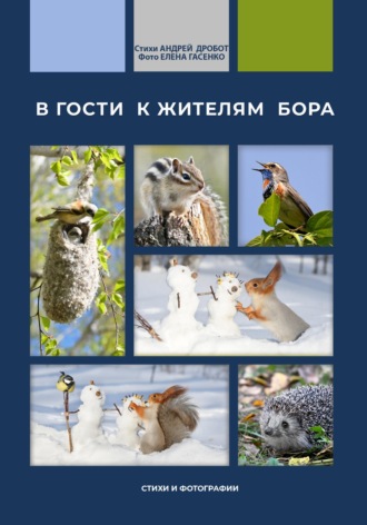 Андрей Викторович Дробот. В гости к жителям бора