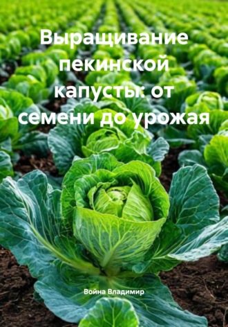 . Выращивание пекинской капусты: от семени до урожая
