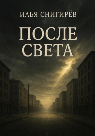 Илья Олегович Снигирёв. После света