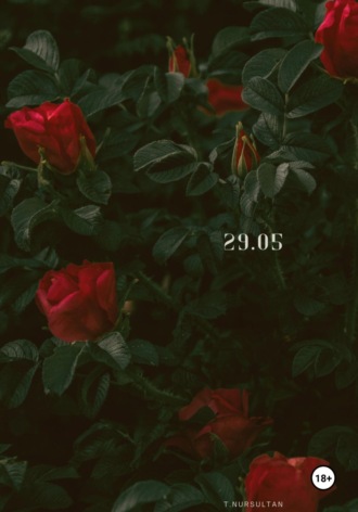 Нұрсұлтан Тулеген. 29.05