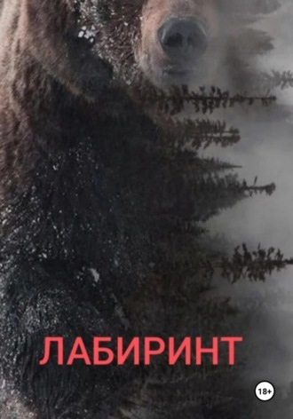 Юрий Владимирович Крескин. Лабиринт
