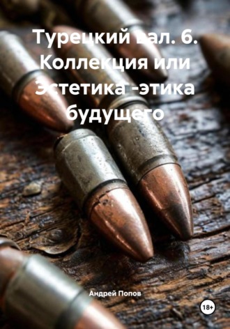 Андрей Васильевич Попов. Турецкий вал. 6. Коллекция или Эстетика – этика будущего