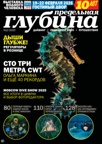 . Предельная Глубина №2/2025