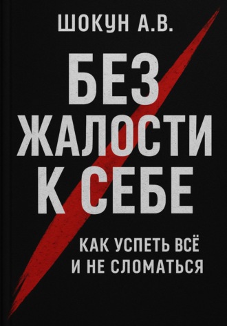 Шокун Алексей. Без жалости к себе: Как успеть Всё и не Сломаться