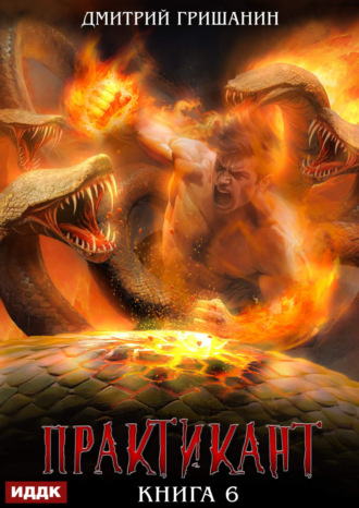 Дмитрий Гришанин. Практикант. Книга 6