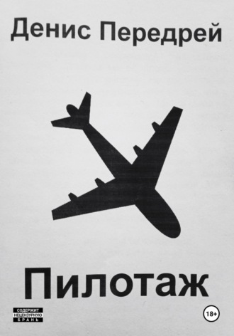 Денис Передрей. Пилотаж