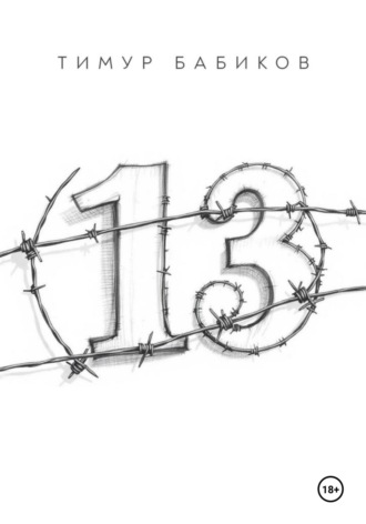 Тимур Бабиков. 13
