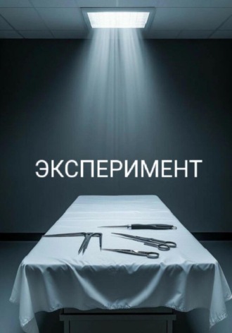. Эксперимент