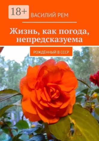 Василий Рем. Жизнь, как погода, непредсказуема. Рождённый в СССР