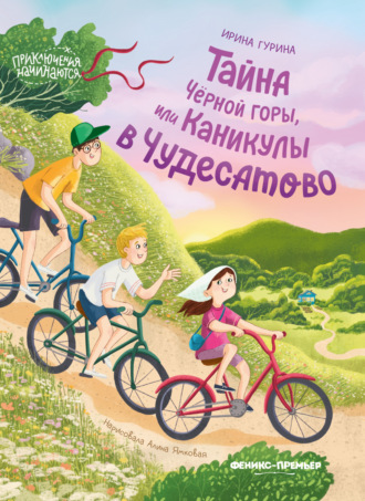 Ирина Гурина. Тайна Черной горы, или Каникулы в Чудесатово