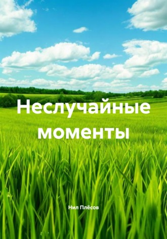 Нил Плёсов. Неслучайные моменты